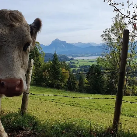 Alpenblick 9, Bergblick Pur Im Allgaeu Halblech