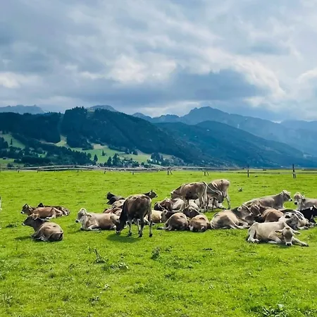 Apartmán Alpenblick 9, Bergblick Pur Im Allgaeu Halblech