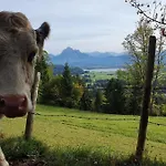 Alpenblick 9, Bergblick Pur Im Allgaeu Halblech